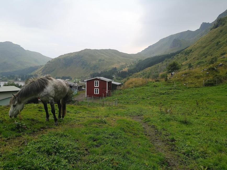 Glamping Lofoten Hotell Kongsjorda Exteriör bild